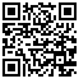 双胞胎密室逃生