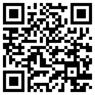 完美的婚礼最新安卓版