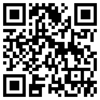 翻转赛艇ios免费版