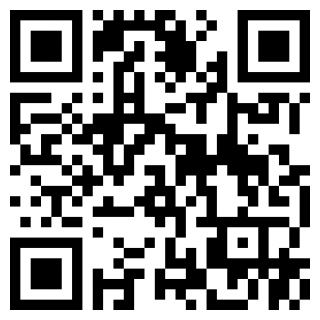 飞行棋游戏情调版app