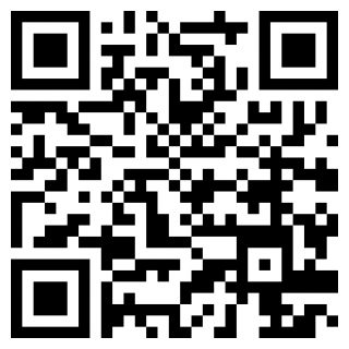 马桶人城市大作战游戏