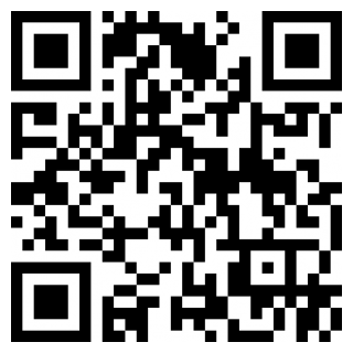 动漫黑帮女孩游戏