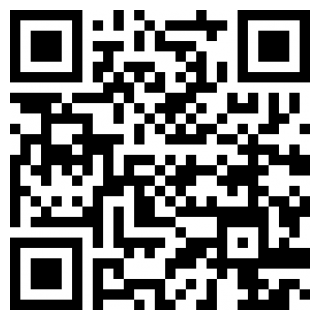 黑色的竞速赛游戏安卓版
