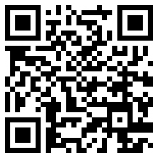 黄金拉力赛车Art