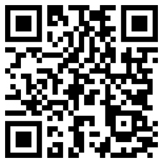 铲子海盗游戏安卓版