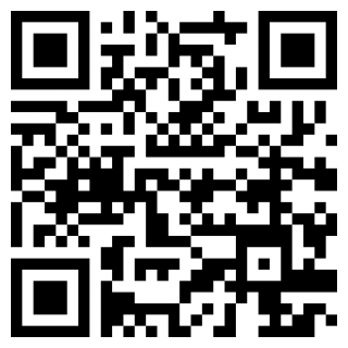 我的宠物贼溜游戏安卓版