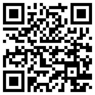 江洋大盗模拟器手机版ios免费版