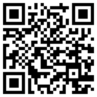 江洋大盗模拟器手游免费苹果版