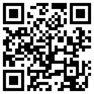 江洋大盗模拟器云游戏下载安装苹果版