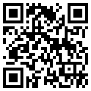 夺宝新篇游戏安卓版