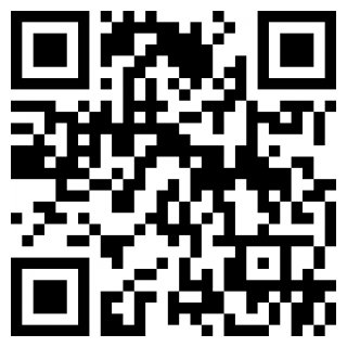 我要做SPA游戏手机版