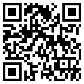 飞虫大冒险2024安卓最新下载