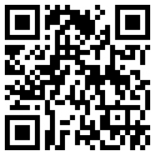 飞鸟与海街游戏安卓版