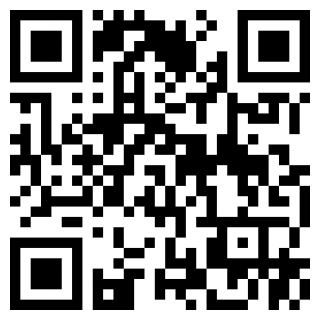 我独自升级arise手机免费版