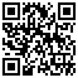 老司机停车官方版