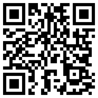 愤怒的小鸟2手游版