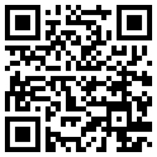 猫咪大陆手机版