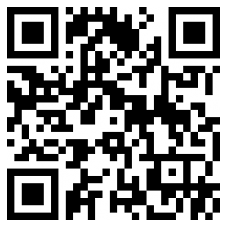 口袋新世代旧版