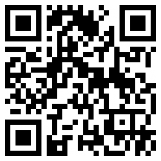 琪琪的假期手机版