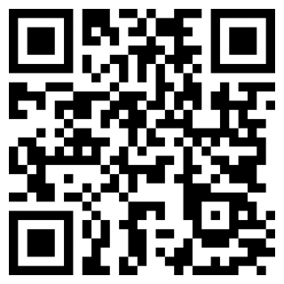 口袋决斗官方版