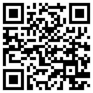 映月城与电子姬下载最新版