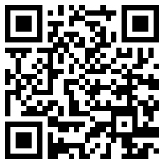 雨中冒险2安卓版