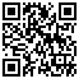 映月城与电子姬苹果版