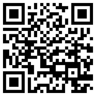 大方租车app