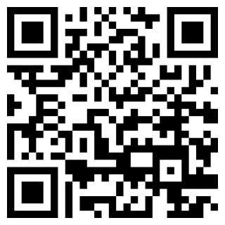 有车以后app