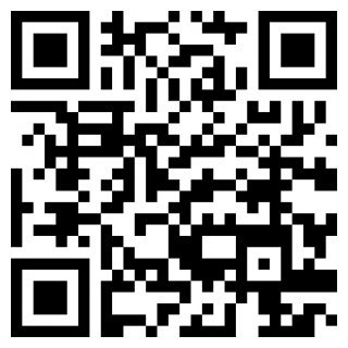 闪送app