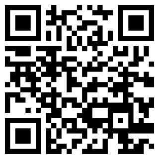 淘速取app