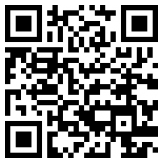 rise+学生端下载app