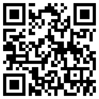 翼闪运司机端app
