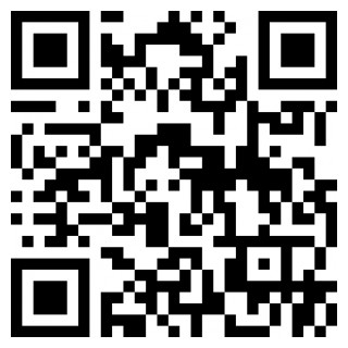 红人装极速版app