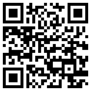 石头网app
