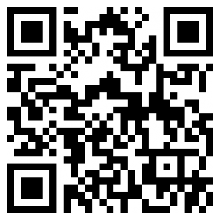 武汉市人民政府app